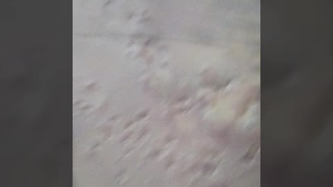 winter video