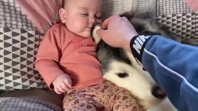 DAISY CANNOT STOP GIGGLING!!..ðŸ˜.
