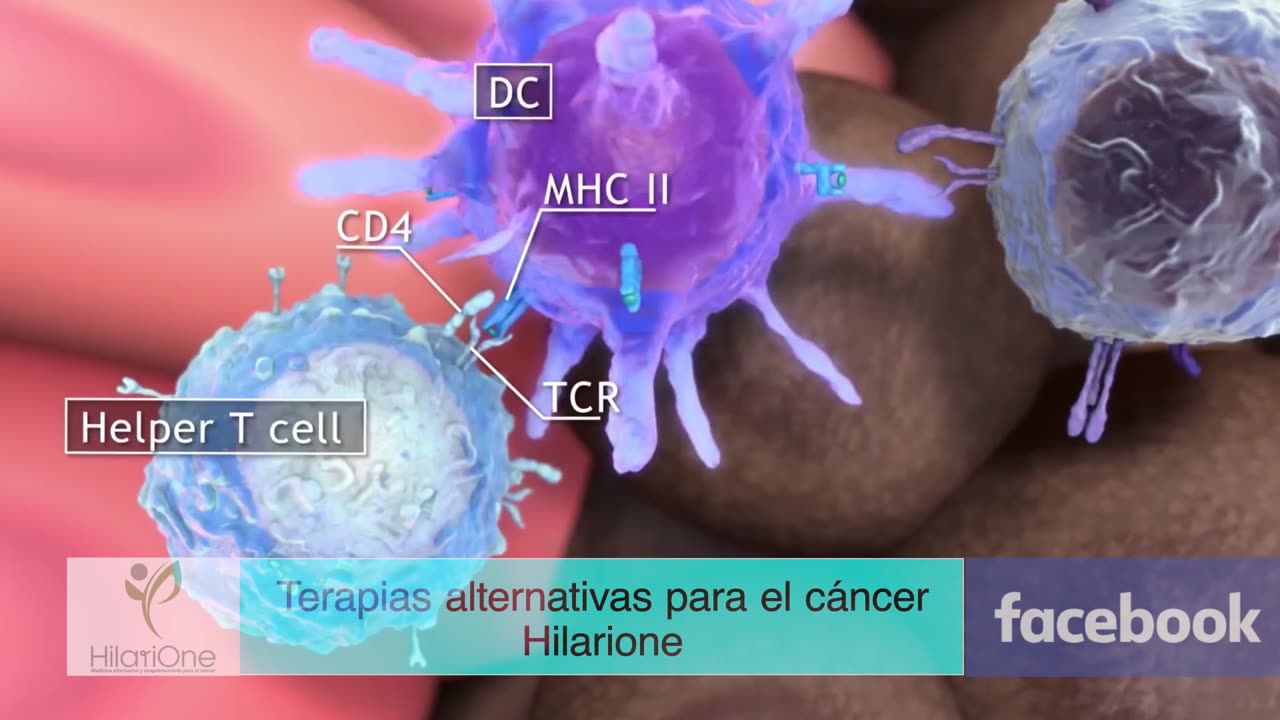 Terapia Inmunológica para el cáncer