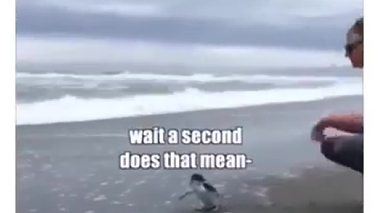 Finally i'm Free, But... #shorts #viral #shortsvideo #video