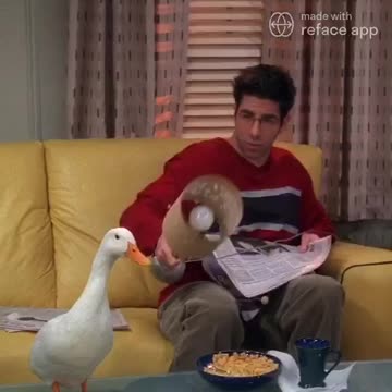 The Ultimate Duck Montage! 🦆