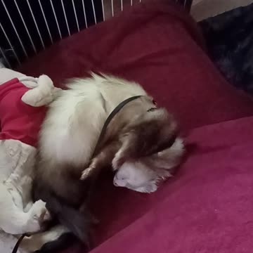 What are you looking at?