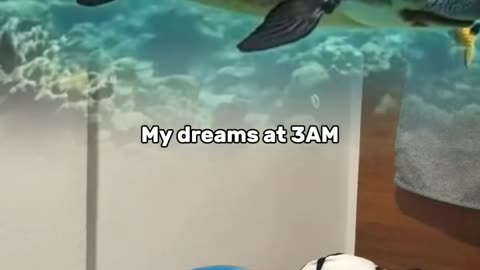 My dreams at 3 A.M 😂
