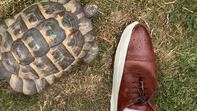 Youre good too go sir.. WAIT A MINUTE