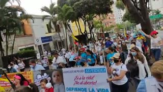 Marcha Provida