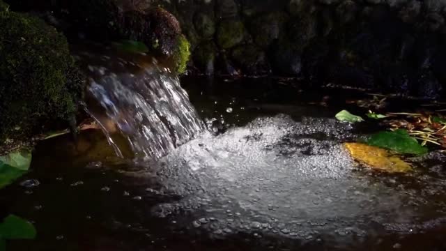 Spring Water Stream Cascade Flow Nature Garden