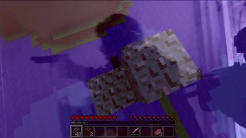 wait what minecraft meme (the best moments)5