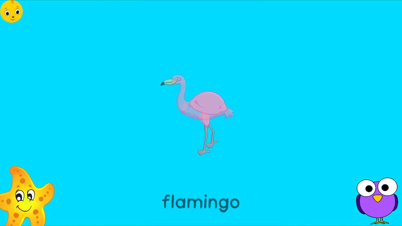 Learn Birds Names 2023🦜 RARE CARTOONS 🦢 🦩 🕊 Nursery Rhymes and Kids Songs