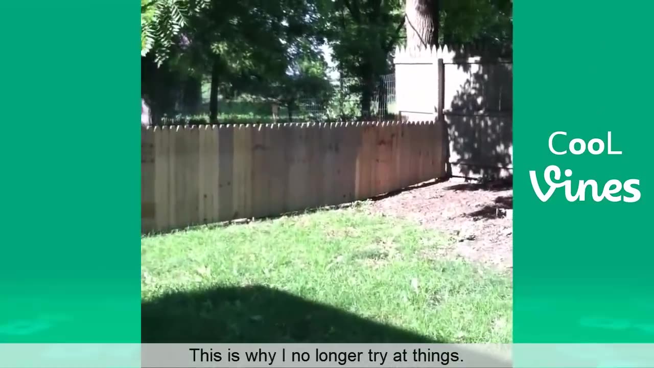 Try not to laugh