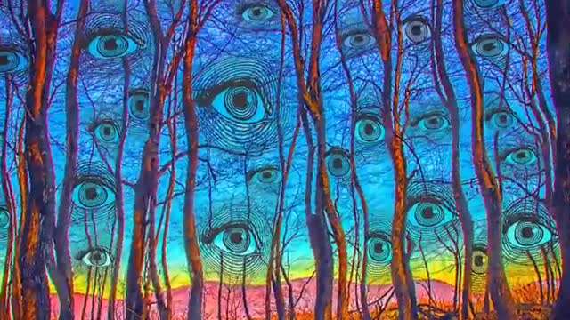 Woods Has Eyes
