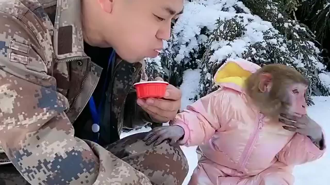 Foodie Friends: A Pet Monkey and Its Owner Enjoying Yummy Momos Together