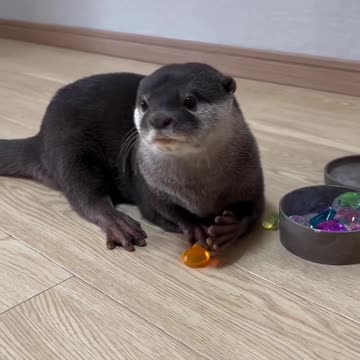 That’s a lot of clams 😂😂