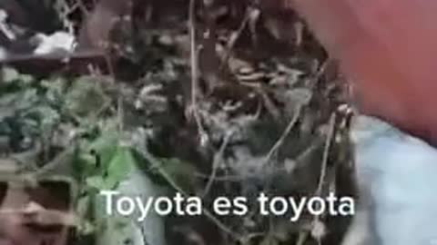 I found an abandoned car