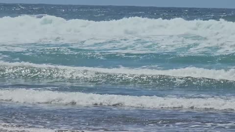 Lincoln City Waves