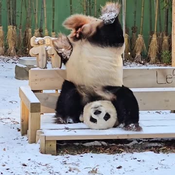 Thanks to everyone 700 followers 👍👍🙏😍