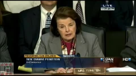 SANDY HOOK CONGRESS HEARING