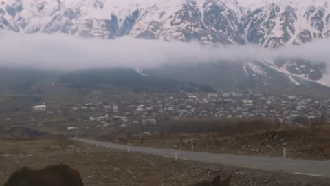 Scenic winter grazing: Horses enjoying the snowy mountains