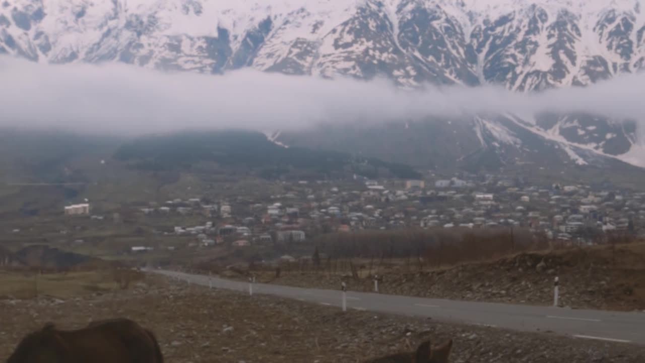Scenic winter grazing: Horses enjoying the snowy mountains