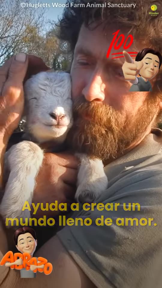 Por amor de los animales