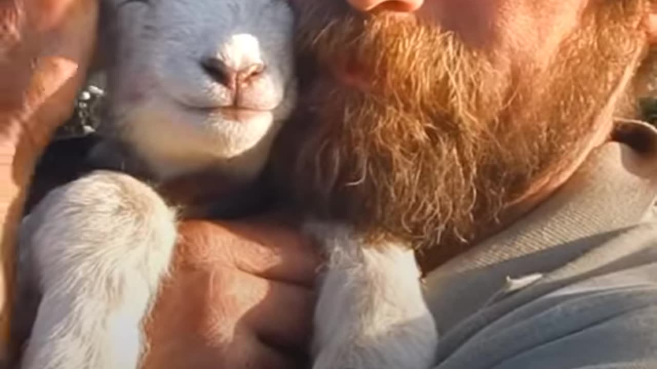 Por amor de los animales