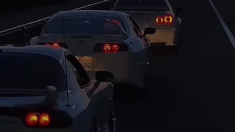 Cars lover