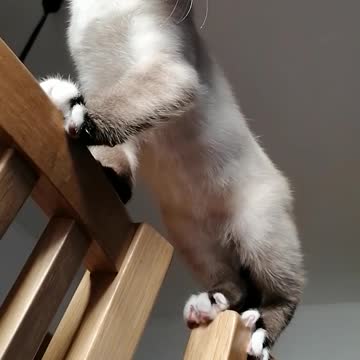 The best balance exercise