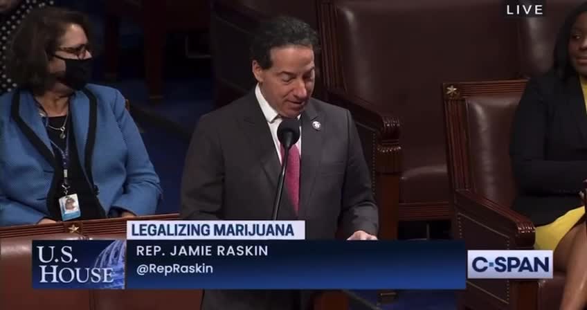 Jamie Raskin on MARIJUANA PROHIBITION laws