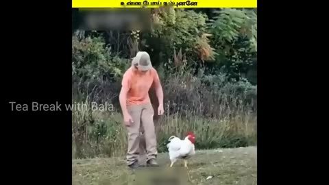 Funny Videos 70