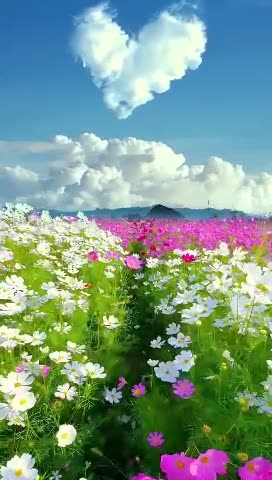 🌿✨ Discover the Magic of Nature ✨🌿