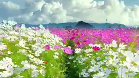 🌿✨ Discover the Magic of Nature ✨🌿