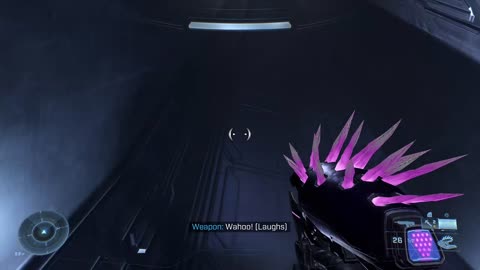 Secret needler