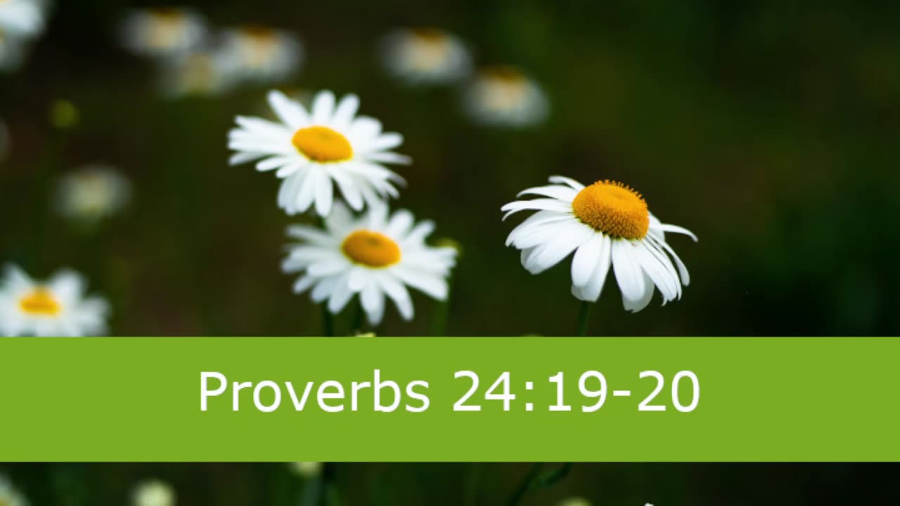 1 Minute -- Proverbs 24 Devotional -- March 24, 2023