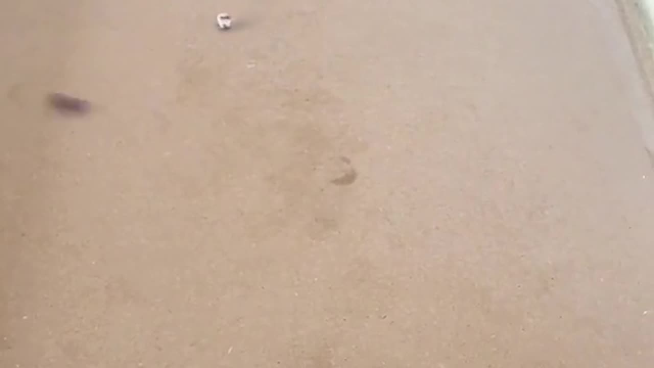 Hes so good!