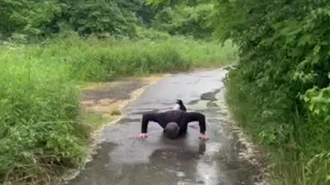 Fico klikuje