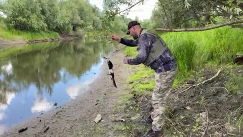 Fishermen Find and Rescue Bird