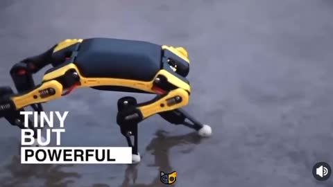 Palm Sized Robot