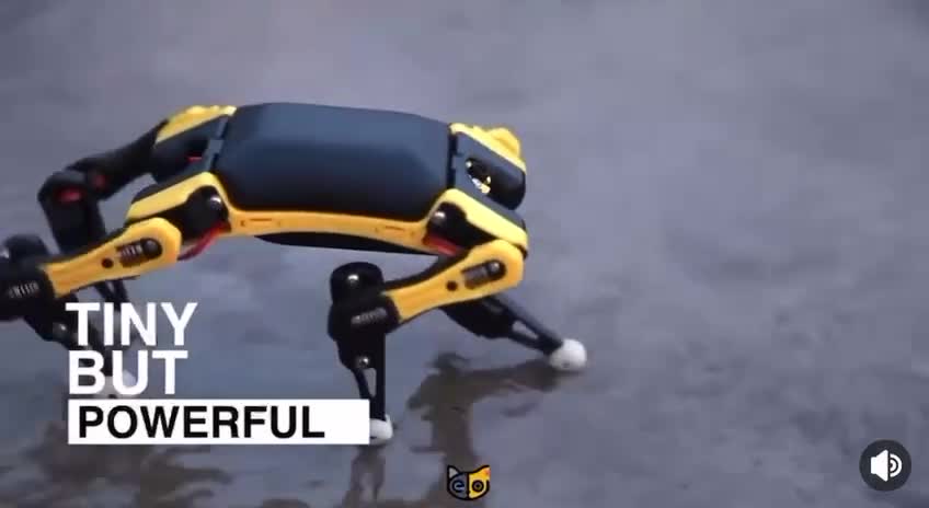 Palm Sized Robot