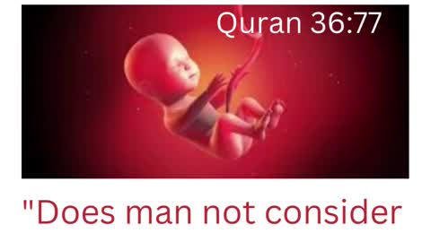 Why Islam?