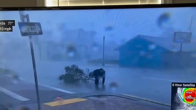 Reporter in Florida, Reporter in hurricane taken out by tree in live broadcast