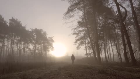 Man walking alone