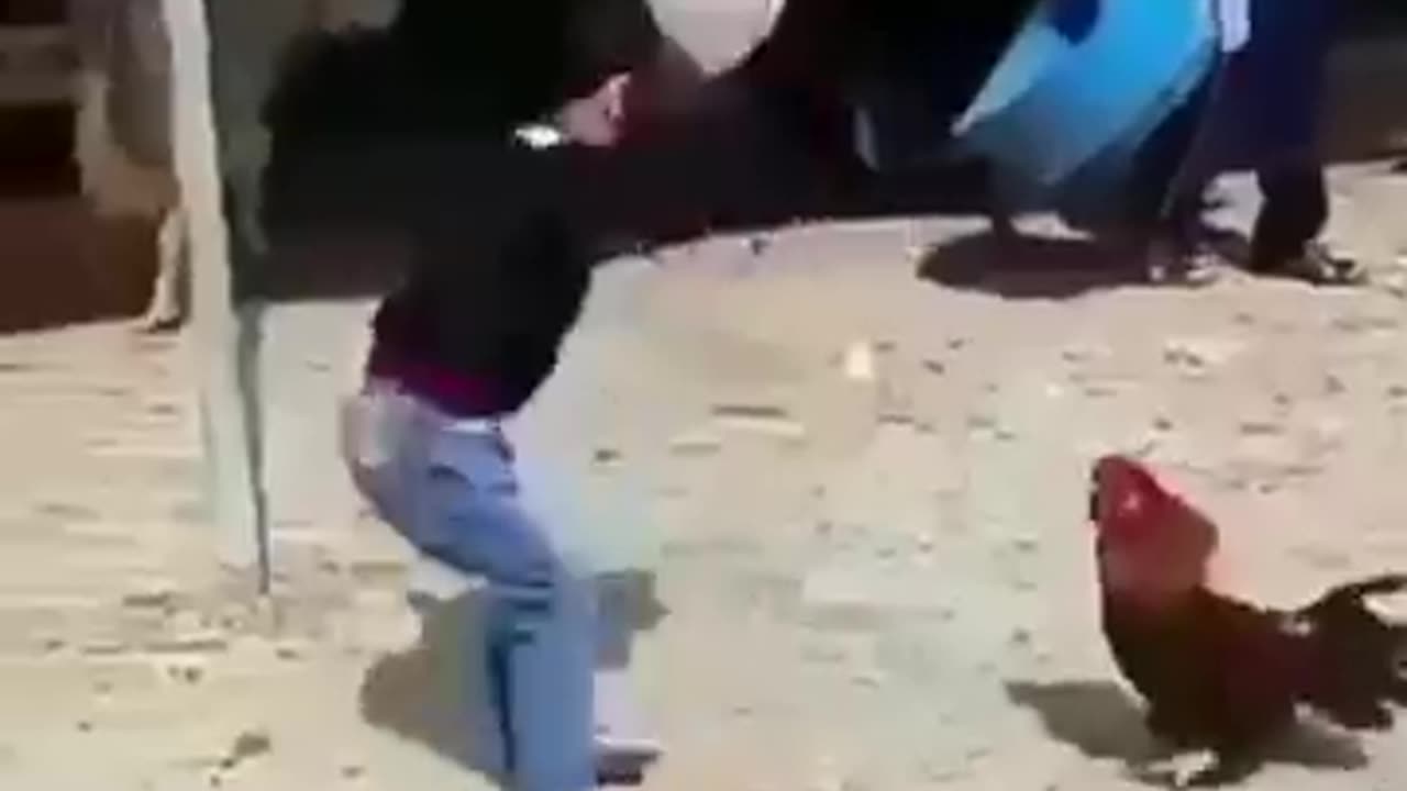 Best Fails Short CompilationTry Not To Laugh ChallangeYou Laugh 3 Times You Lose Funny Memes