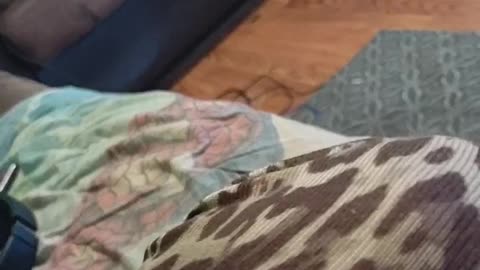 The Student of the Week Announcement For Kayla (Official)