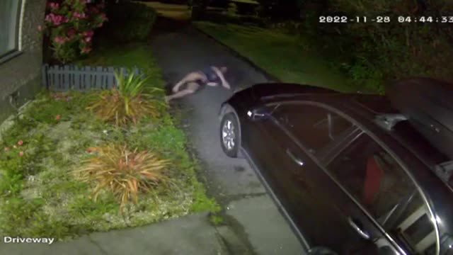 Man Tries to Break Up Cat Fight and Trips on Car