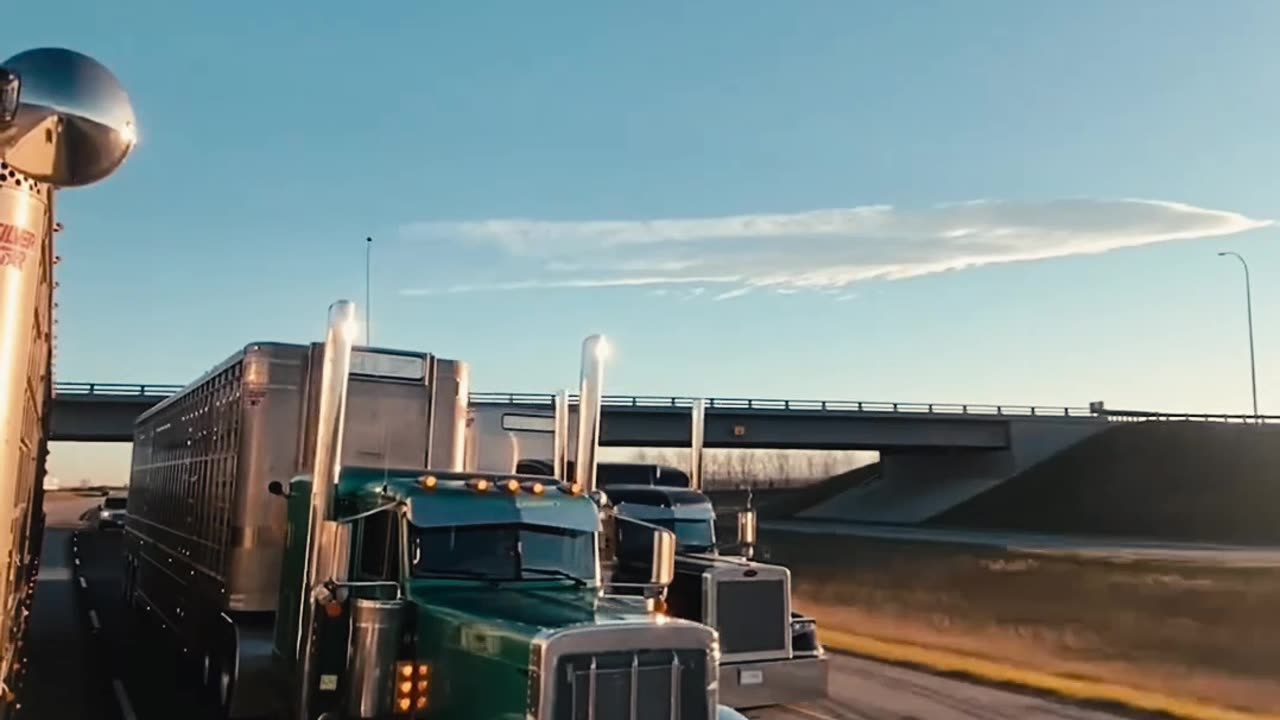 Trucker, Truck, Motivation