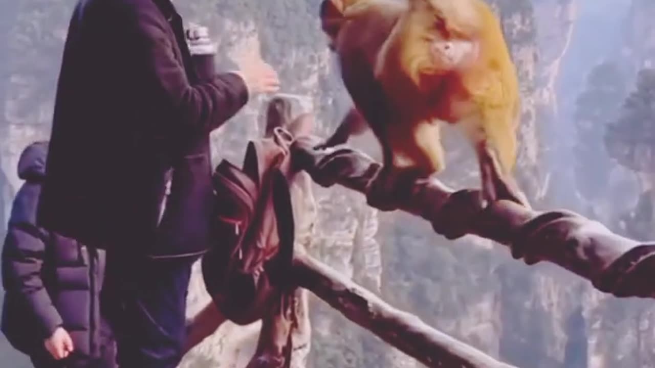 viral comedy short shortvideo