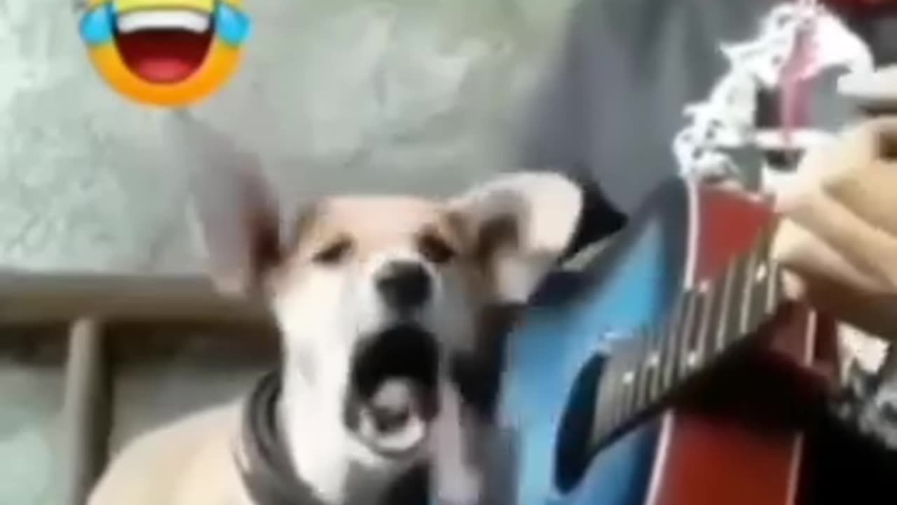 Comedy video