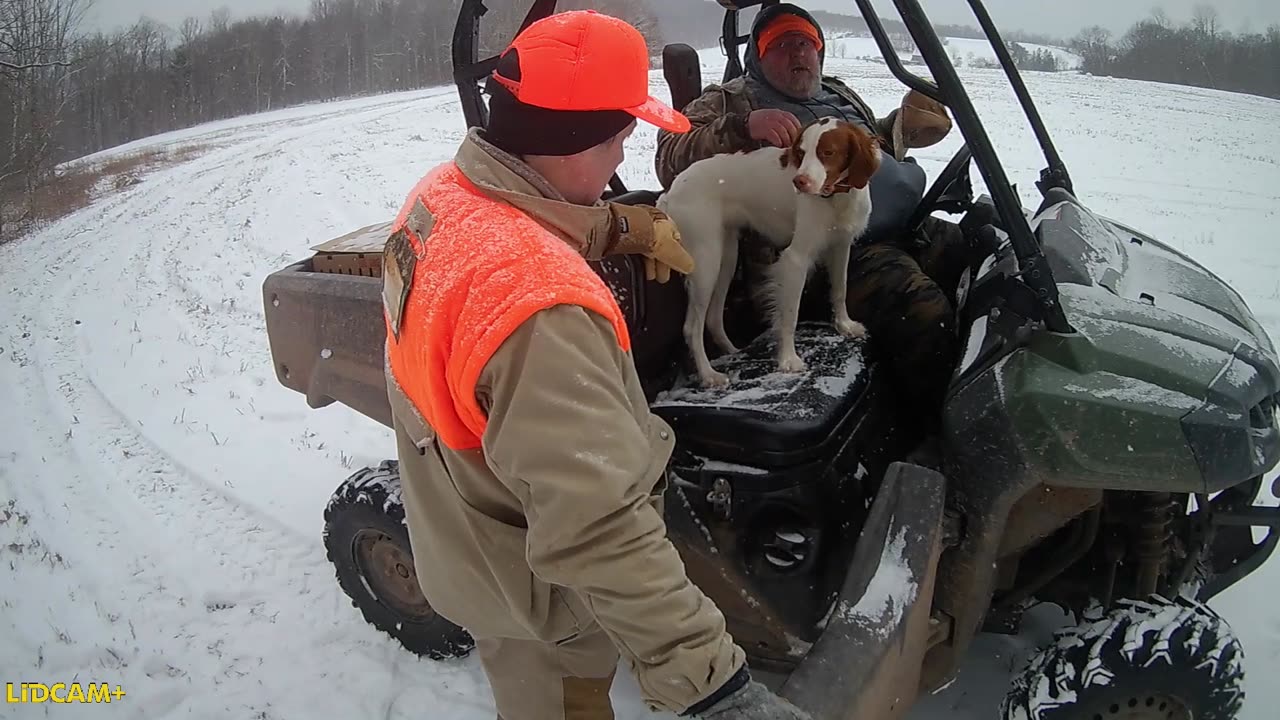 Stocked Chukar Hunt