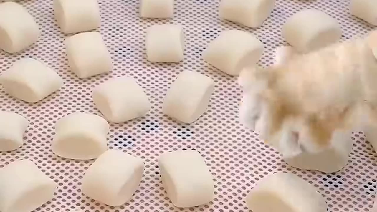 cats in the kitchen