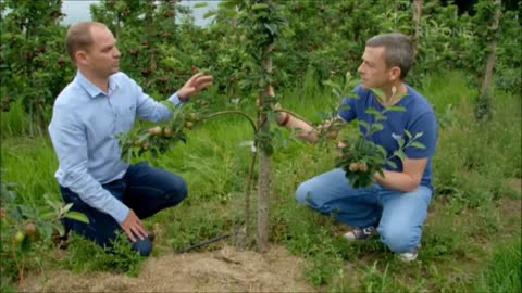 Grow, Cook, Eat on RTE1, April 2018