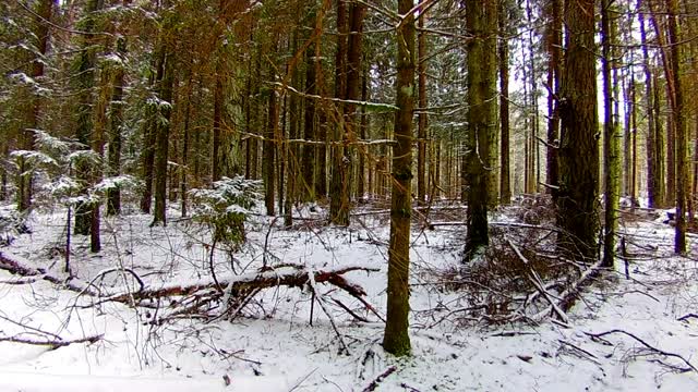 Natural Scenery in Snow Scenery-14